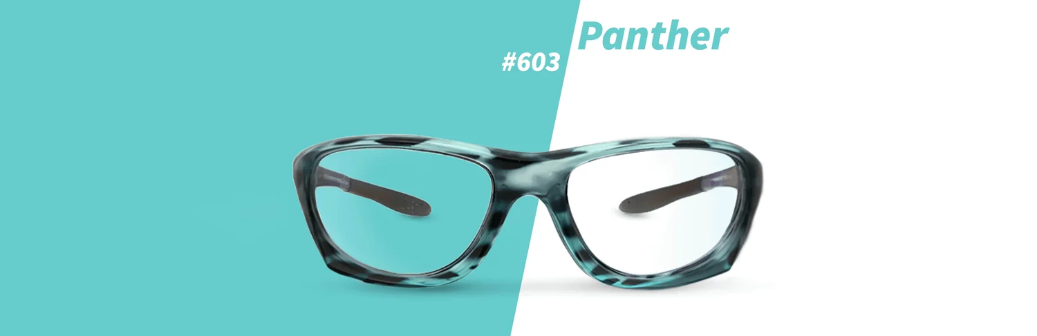 Panther frame
